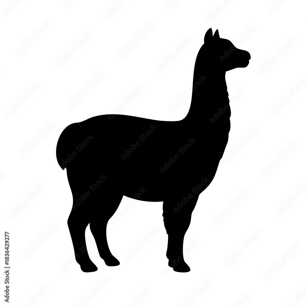 Naklejka premium Alpaca silhouette