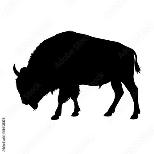 American bison Black silhouette