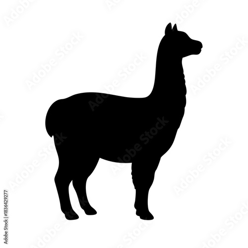 Alpaca silhouette