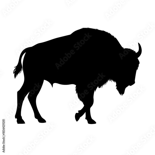 American bison silhouette