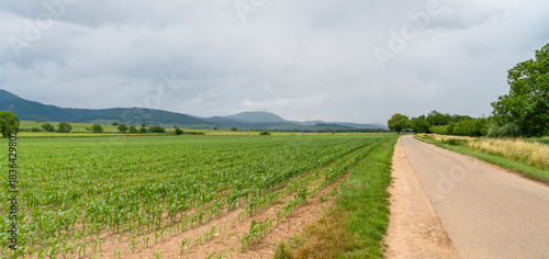 Idyllic Alsace scenery
