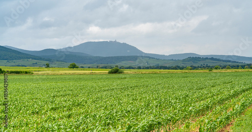 Idyllic Alsace scenery