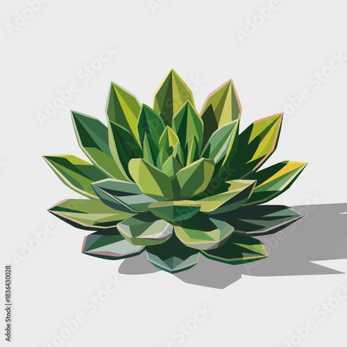 A vibrant succulent plant displayed against a clean, white background, emphasizing its geometric shape and rich colors, perfect for conveying simplicity and natural beauty.
