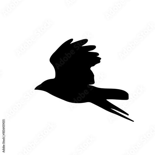 Silhouette of a bird in flight isolated on white background, perfect for concepts of freedom, nature, wildlife, minimal design, logo inspiration, migration, independence and calm.