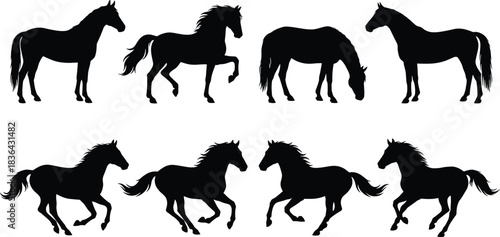 Horse Silhouettes Set, Running, Standing, and Grazing Equine Animals Vector Collection