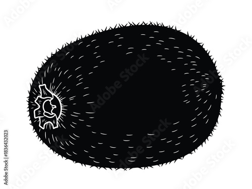 Black Silhouette of a Spiky Fruit Isolated on White fruit, spiky, black, silhouette