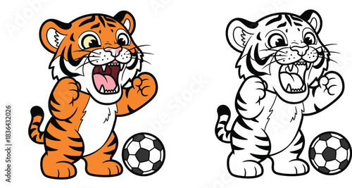 Cute cartoon tiger cub playing soccer and roaring vector illustration with black and white outline for coloring book page