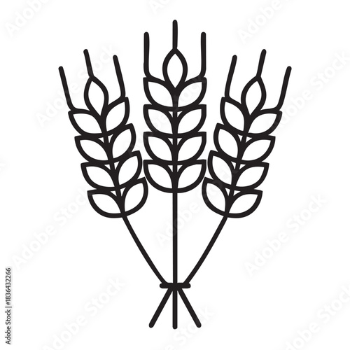 Three stalks of wheat bound together representing agriculture and harvest season