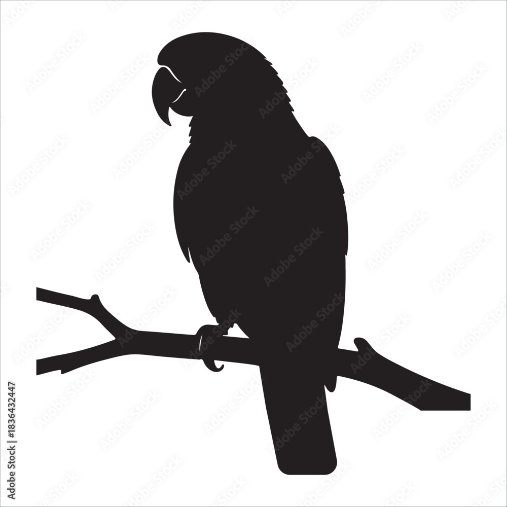 Fototapeta premium Black silhouette of a parrot perched on a branch bird white