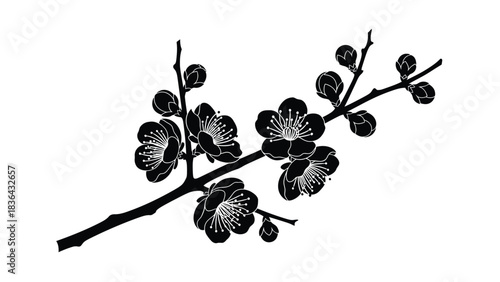 Black Silhouette of Cherry Blossom Branch with Flowers