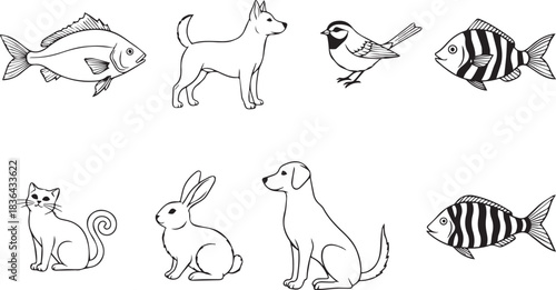 Various outline drawings of animals including fish dog bird cat rabbit and two fish
