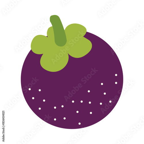 Hand drawn mangosteen. Exotic summer fruit illustration. Flat vector fruity design for tropical packaging, healthy food label, kitchen decor.