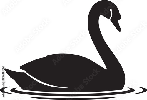 Black swan silhouette floating on rippling water bird