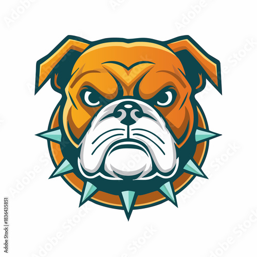 Fierce bulldog head mascot with a spiked collar, isolated vector graphic illustration for a sports or gaming team logo