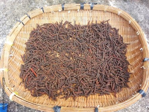 Sun-dried long pepper (Piper retrofractum) spread on a traditional woven bamboo tray