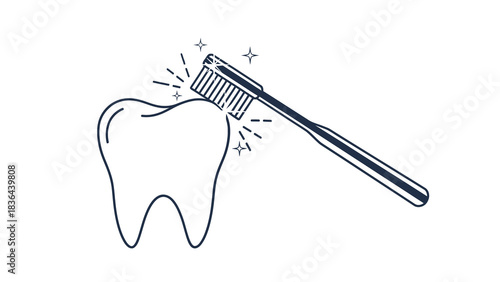 Toothbrush Cleaning a Tooth - Dental Hygiene and Oral Care.