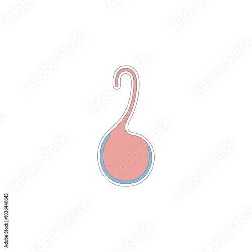 Stylized Reproductive Organ A Minimalist Illustration for Medical and Anatomical Concepts