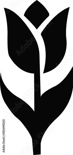 Tulib flower icon.Tulip Flower Background with multi-colored tulib flowers in a garden suitable for background use,Beautiful tulib flower bed in warming day in spring, outdoor park.