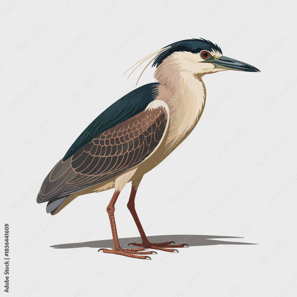 Fototapeta premium This captivating image showcases a detailed illustration of a Heron bird, highlighting its unique features and beauty in nature, perfect for nature enthusiasts.