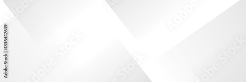 Amazing premium background. Elegant gray white diagonal lines with smooth soft shadow. Light silver grey gradient. Geometric modern stripe design