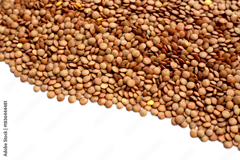 Fototapeta premium Lentils are small brown legumes rich in protein and fiber