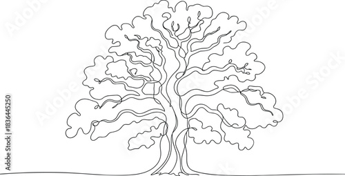 Single line drawing of a large oak tree continuous line