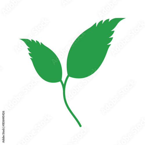 Green leaf logo design