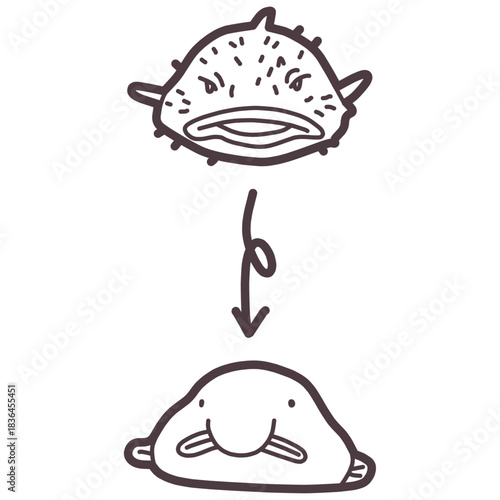 シンプルにデフォルメしたニュウドウカジカ（ブロブフィッシュ）のイラスト