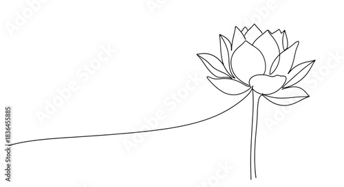 Elegant single line drawing of a blooming lotus flower with a long flowing stem on a white background