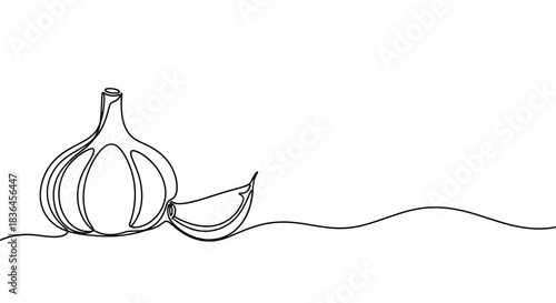 Minimalist single line drawing of a whole garlic bulb and one clove on a white background with a wavy line