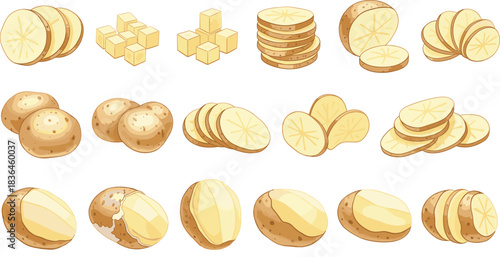 Potato cutting styles illustration showing slices, cubes, halves, peeled potatoes, and whole tubers on white