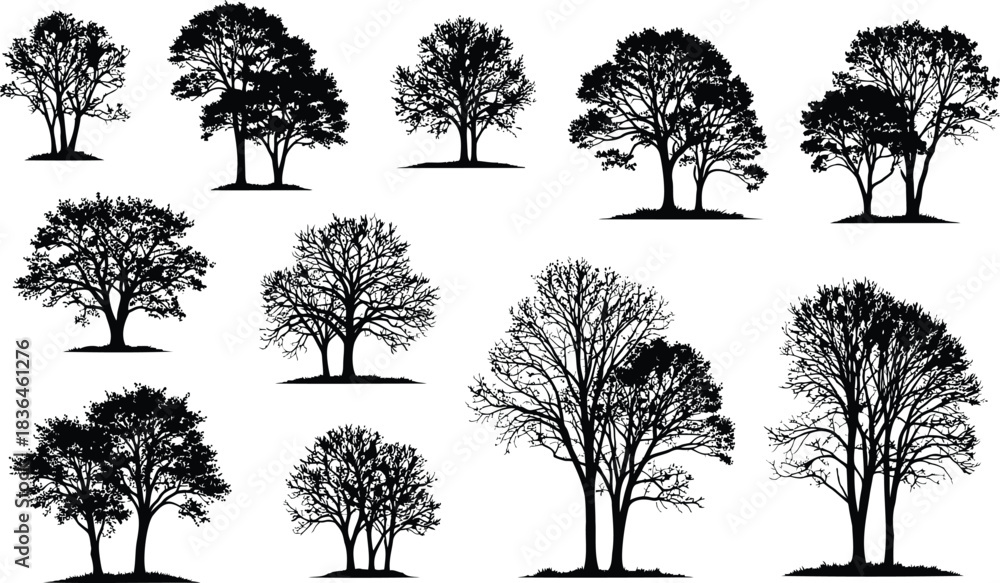 Fototapeta premium Collection of highly detailed silhouettes showing variety of deciduous trees without leaves branches and trunks