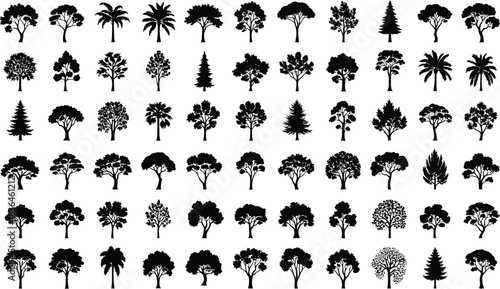 Massive collection of seventy seven detailed silhouettes showing various evergreen deciduous palm and shrubs