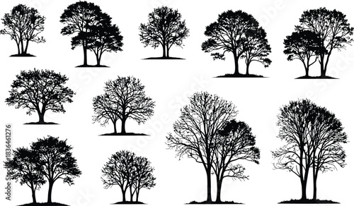 Collection of highly detailed silhouettes showing variety of deciduous trees without leaves branches and trunks