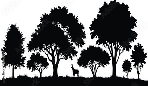 Wilderness nature landscape silhouette deer standing on grassy hill under collection of large broadleaf trees