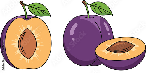 Vector illustration of purple plums whole and sliced with pit, fresh ripe fruit isolated on white