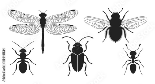A collection of black insect silhouettes featuring a dragonfly, a bee, two ants, and a beetle against a white background