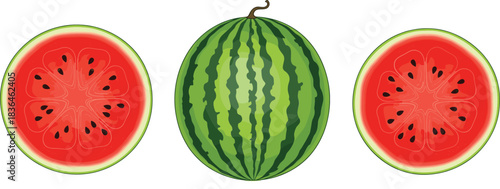Vector illustration of whole watermelon with two round cross-section slices showing bright red flesh and seeds