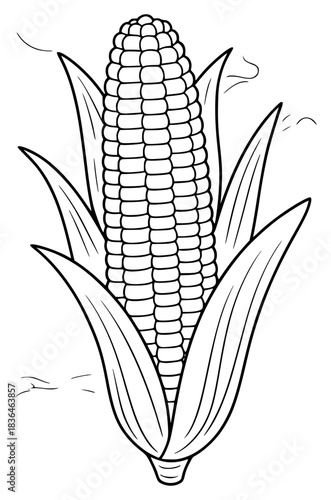Black and White Line Art Illustration of a Corn Cob with Leaves