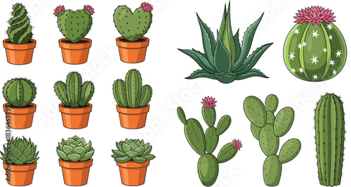 Collection of cactus and succulent plants in pots with desert plants and flowering cacti illustrations