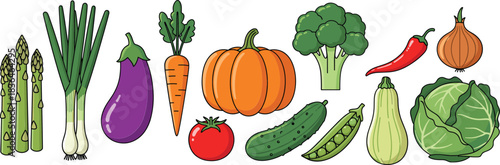 Flat style vegetable illustration set with asparagus, eggplant, carrot, pumpkin, broccoli, tomato, cucumber, peas, cabbage