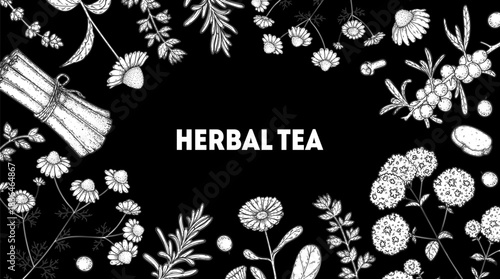 Herbal Tea vector drawing illustration. Herbal tea ingredients. Healthy food and drink . Vector drawing sketch collection. Engraved style.