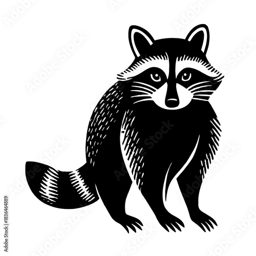 Black and white illustration of a sitting raccoon with detailed fur design