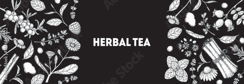 Herbal Tea vector drawing illustration. Herbal tea ingredients. Healthy food and drink . Vector drawing sketch collection. Engraved style.
