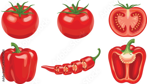Fresh red vegetables illustration set with tomatoes, bell pepper, chili pepper, and cross-section seed details