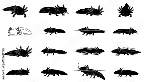 aquatic inkblots expressive axolotl poses in a bold silhouette set, isolated on transparent background