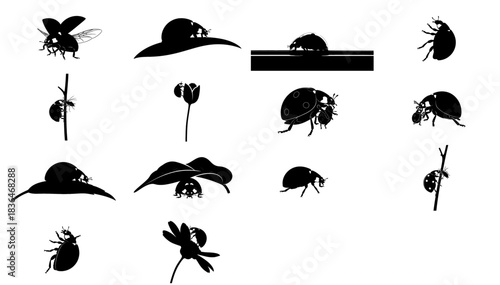 echoes of a tiny kingdom a ladybug silhouette and icon graphic set, isolated on transparent background
