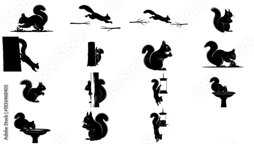the art of the backyard heist a squirrel silhouette icon collection, isolated on transparent background