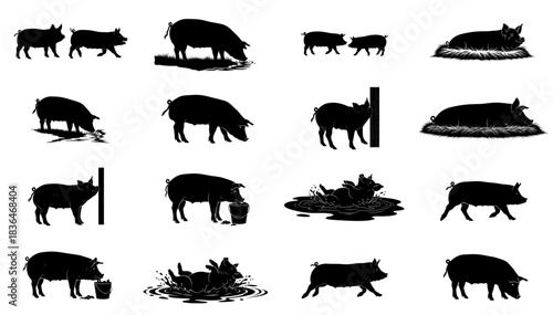 swine song a graphic ensemble of pastoral rhythms and barnyard life set, isolated on transparent background