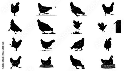 simple rhythms of the coop a graphic collection of hen silhouettes, isolated on transparent background